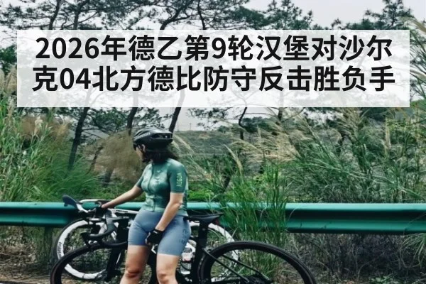 2026年德乙第9轮汉堡对沙尔克04北方德比防守反击胜负手